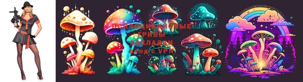 эйфоретик Алексеевка