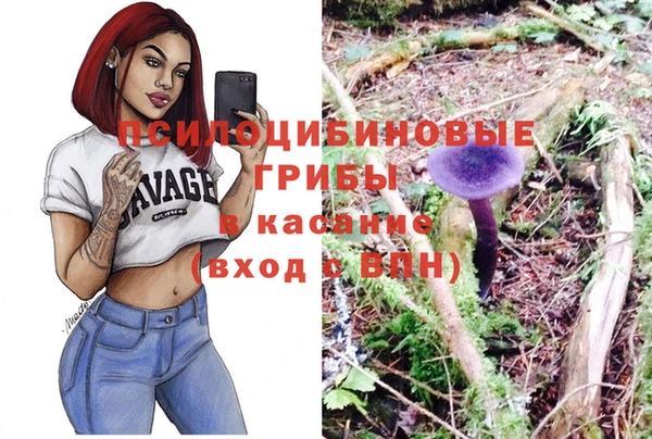 эйфоретик Алексеевка