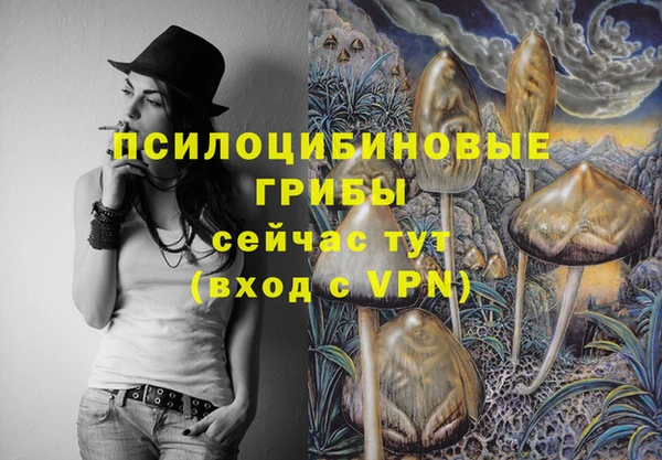 твердый Алзамай